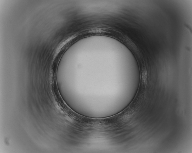 X0000103460724200809261840