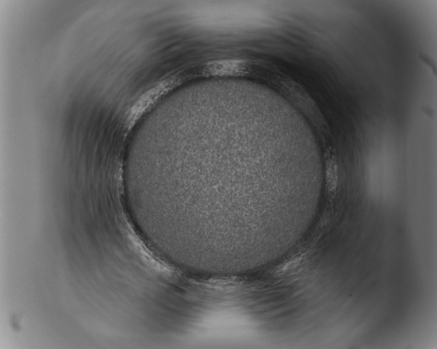 X0000103460725200809261840