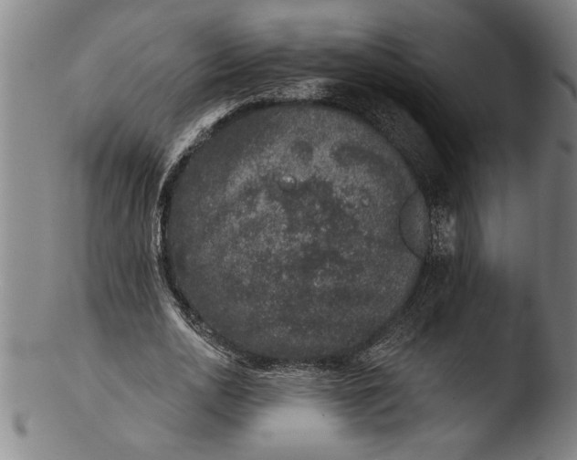 X0000103460726200809261840