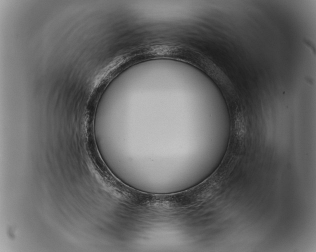 X0000103460730200809261840