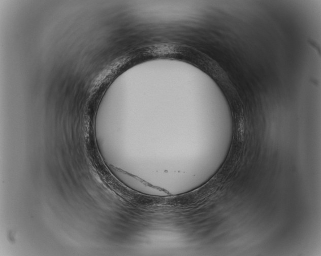 X0000103460732200809261840