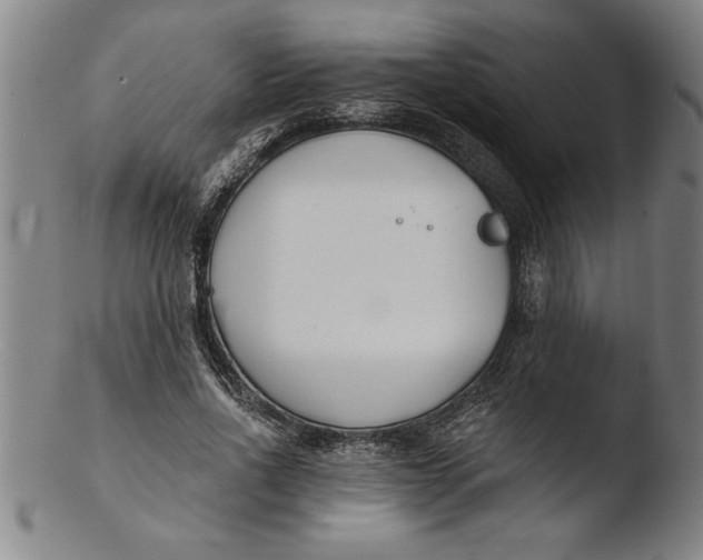 X0000103460734200809261840