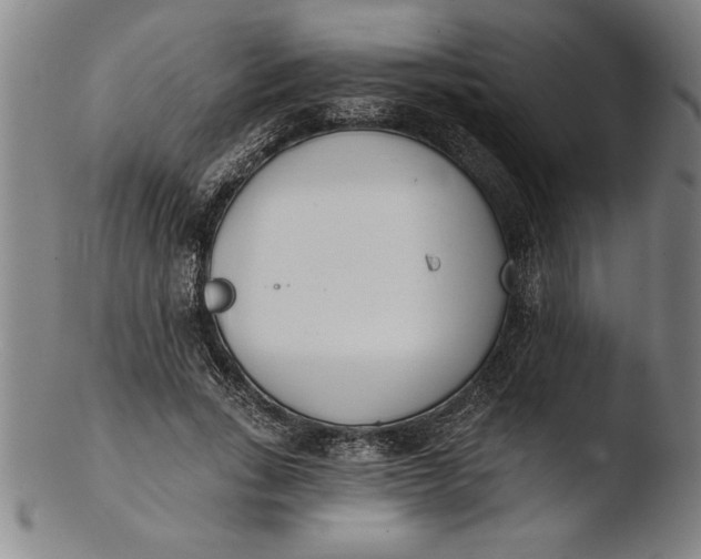 X0000103460735200809261840