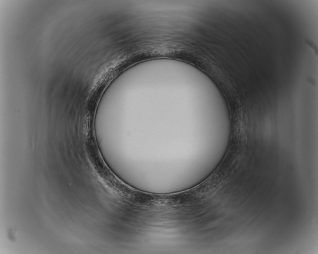 X0000103460736200809261840