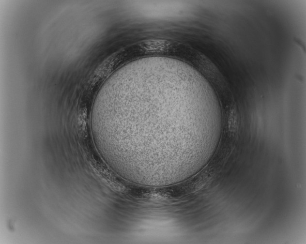 X0000103460737200809261840