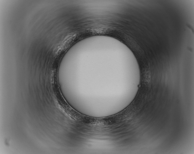 X0000103460738200809261840