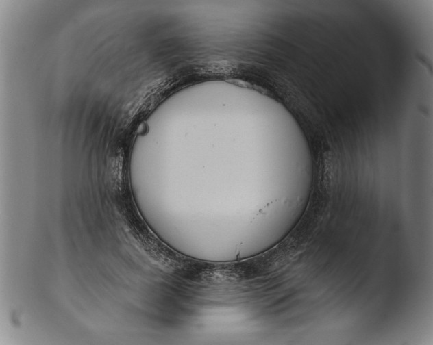 X0000103460739200809261840