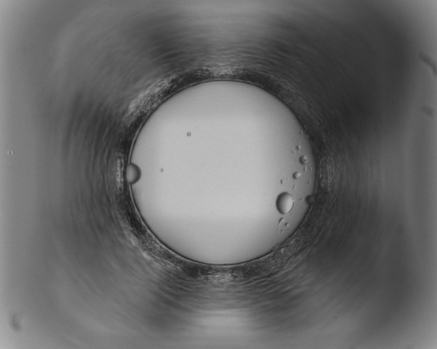 X0000103460740200809261840