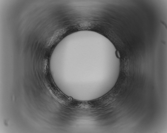 X0000103460742200809261840