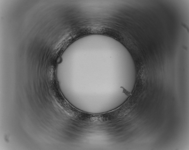 X0000103460744200809261840