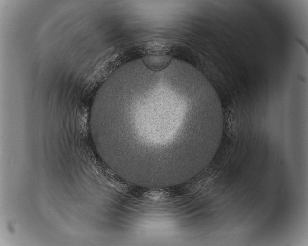 X0000103460745200809261840