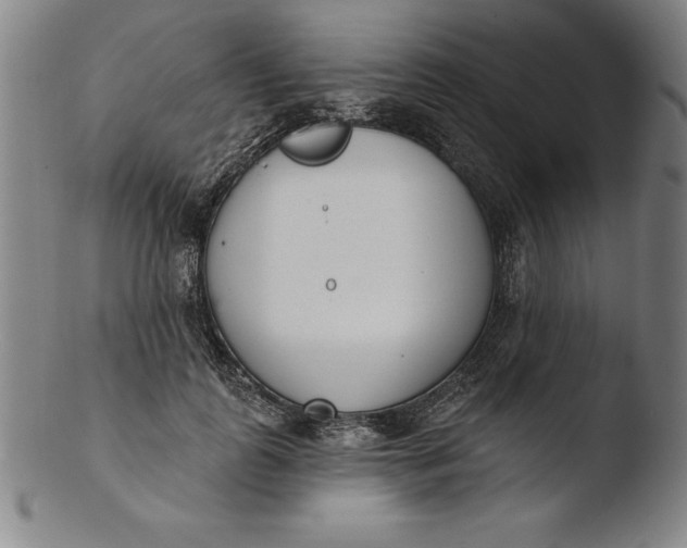 X0000103460747200809261840