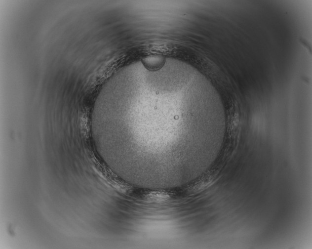 X0000103460749200809261840