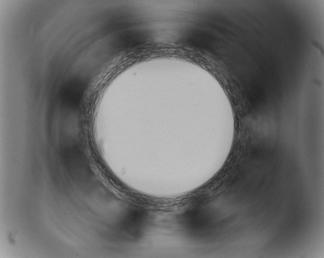 X0000103460750200809261840