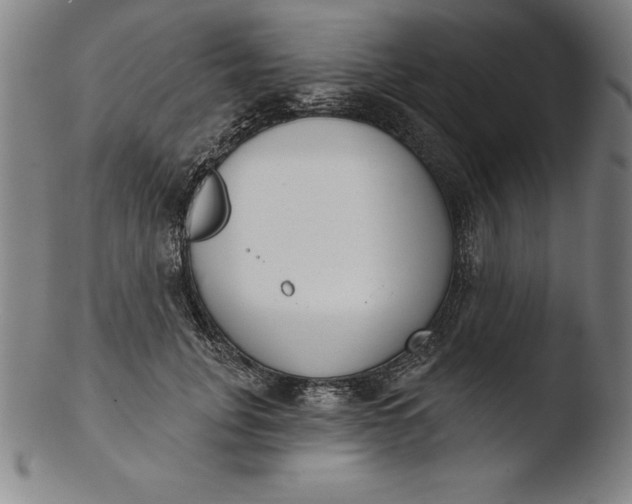 X0000103460751200809261840