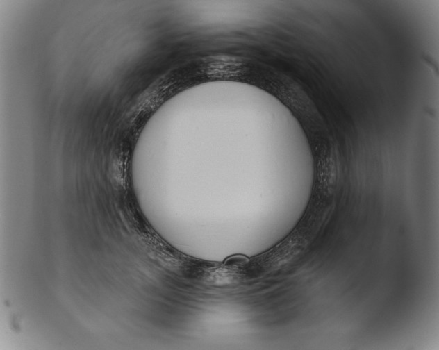 X0000103460755200809261840