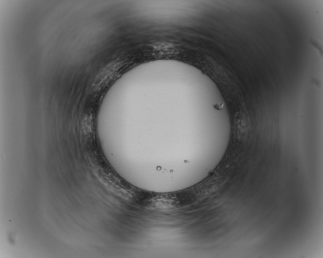 X0000103460756200809261840