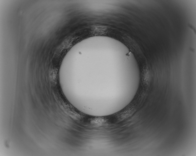 X0000103460759200809261840