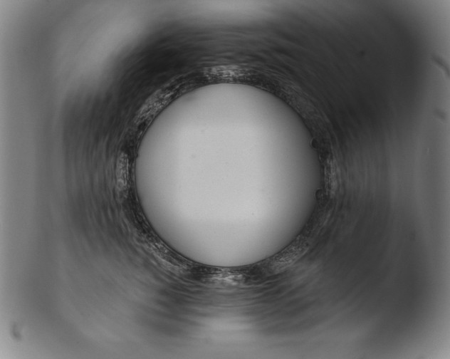 X0000103460760200809261840