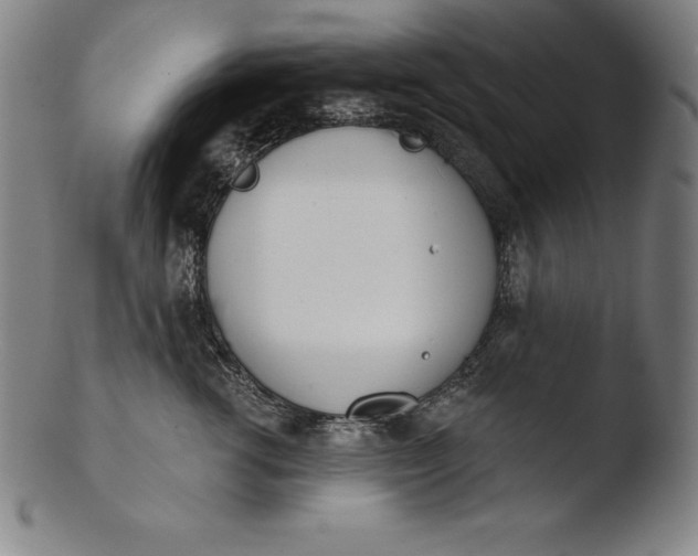 X0000103460762200809261840