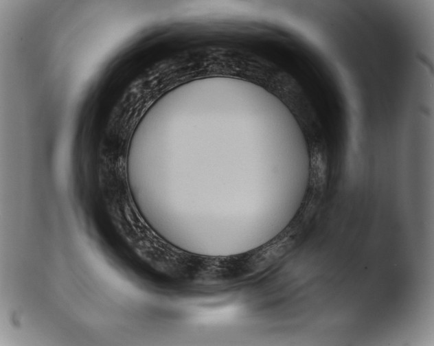 X0000103460765200809261841