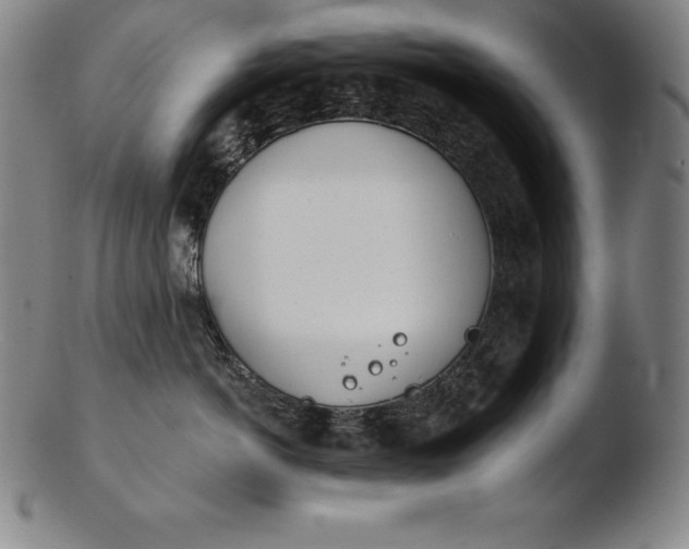 X0000103460766200809261841