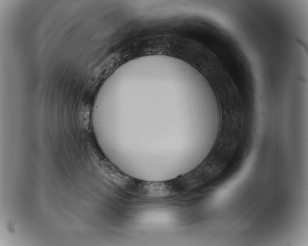 X0000103460767200809261841