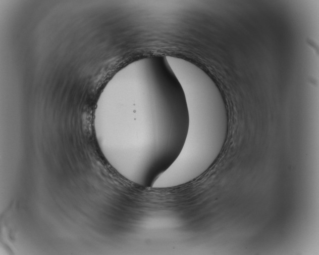 X0000103460768200809261841