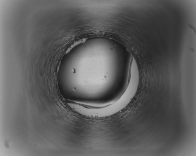 X0000103460769200809261840