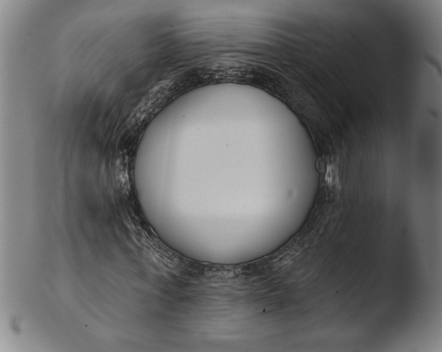 X0000103460771200809261840