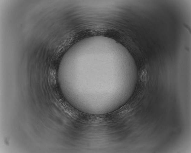 X0000103460772200809261840