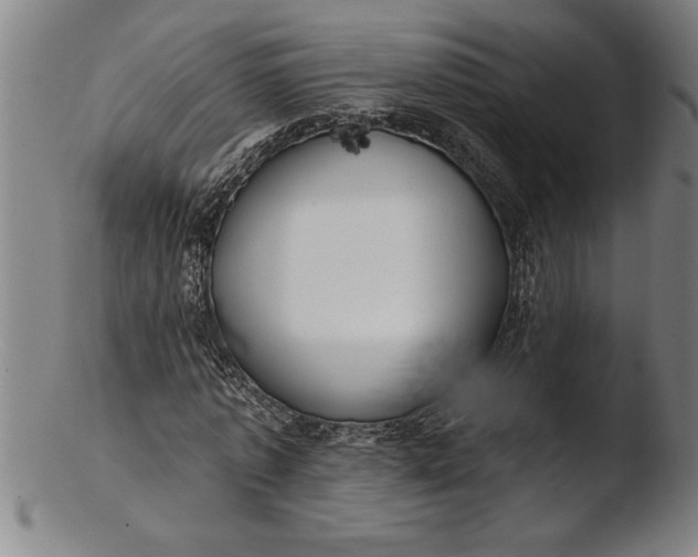 X0000103460773200809261840