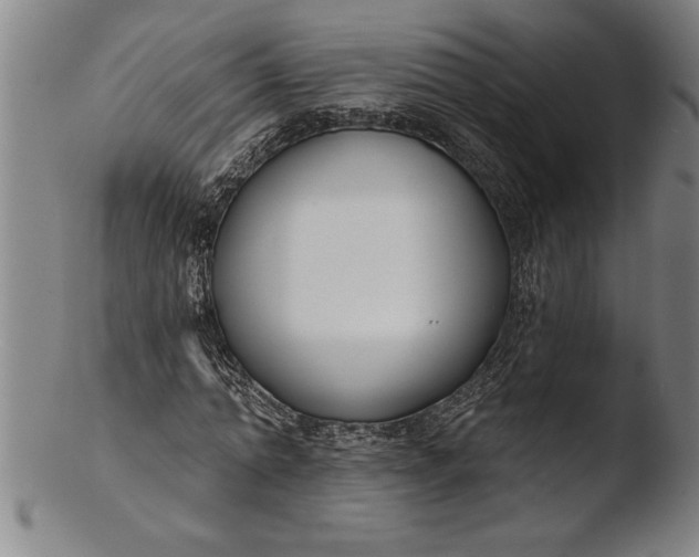 X0000103460774200809261840