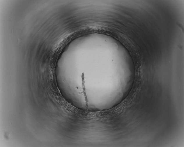 X0000103460776200809261840