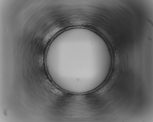 X0000103460778200809261840