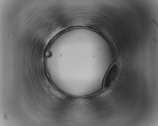 X0000103460779200809261840