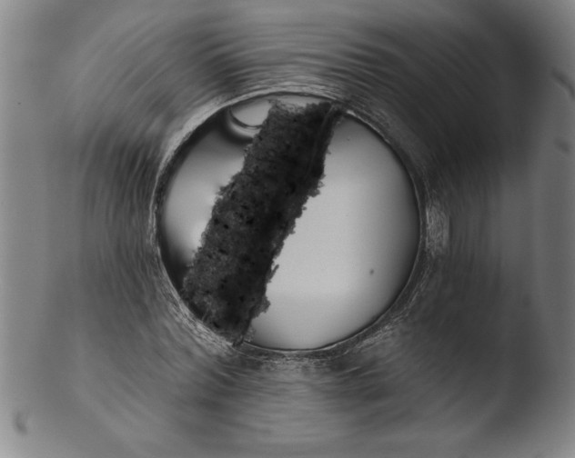 X0000103460780200809261840