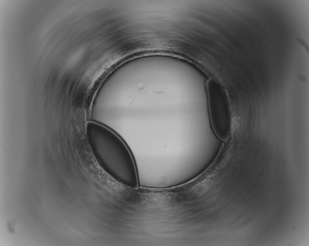 X0000103460781200809261840