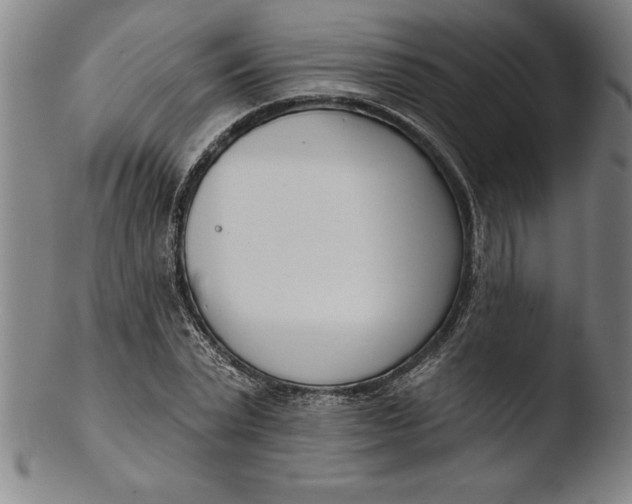 X0000103460783200809261840