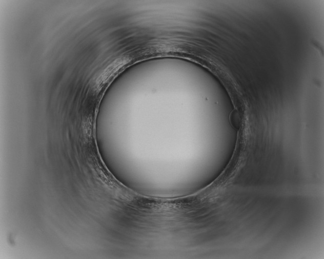 X0000103460785200809261840