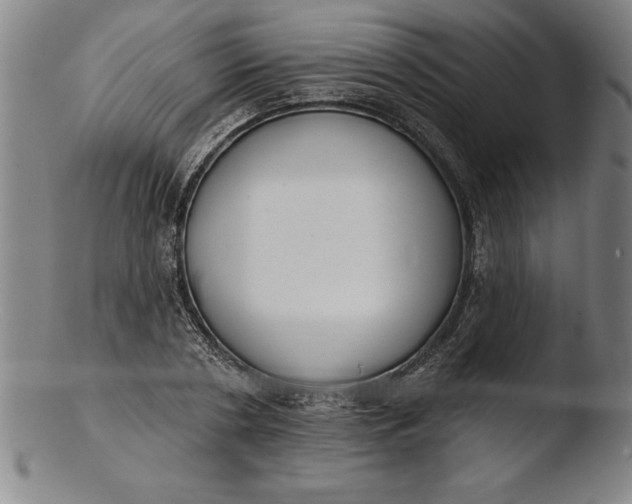 X0000103460786200809261840