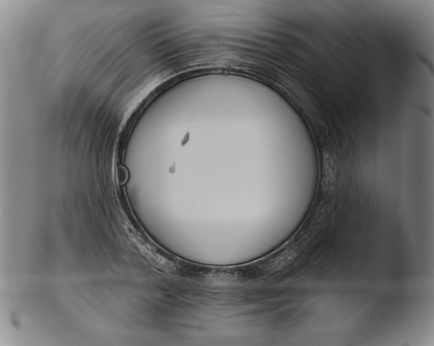 X0000103460788200809261840