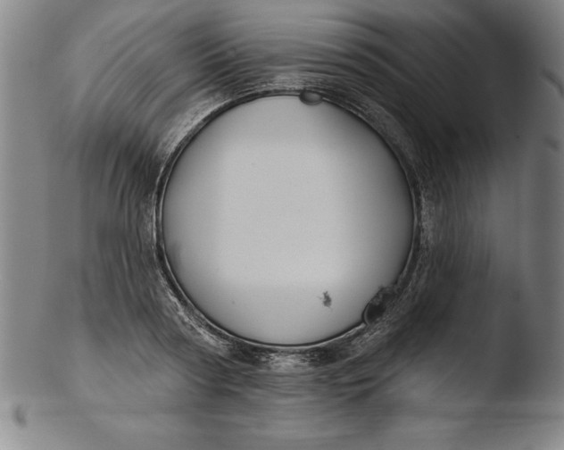 X0000103460794200809261840