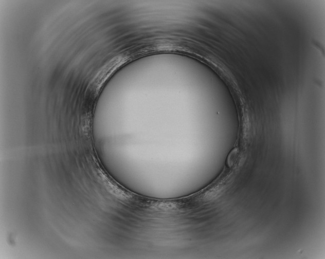 X0000103460801200809261839