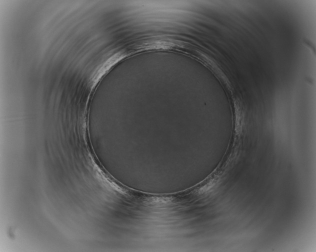 X0000103460802200809261839