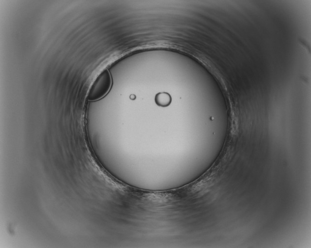 X0000103460805200809261839