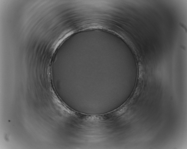 X0000103460806200809261839