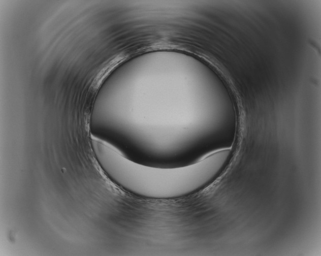 X0000103460809200809261839