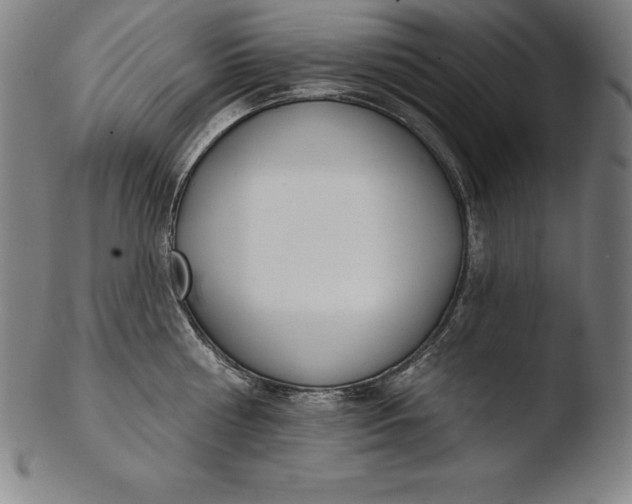 X0000103460810200809261839