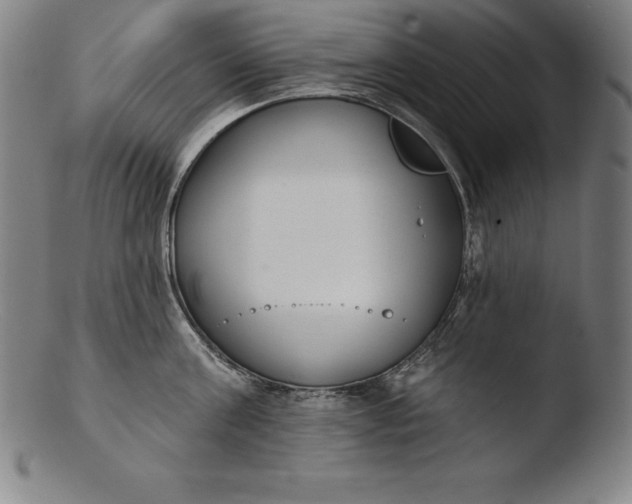 X0000103460811200809261839